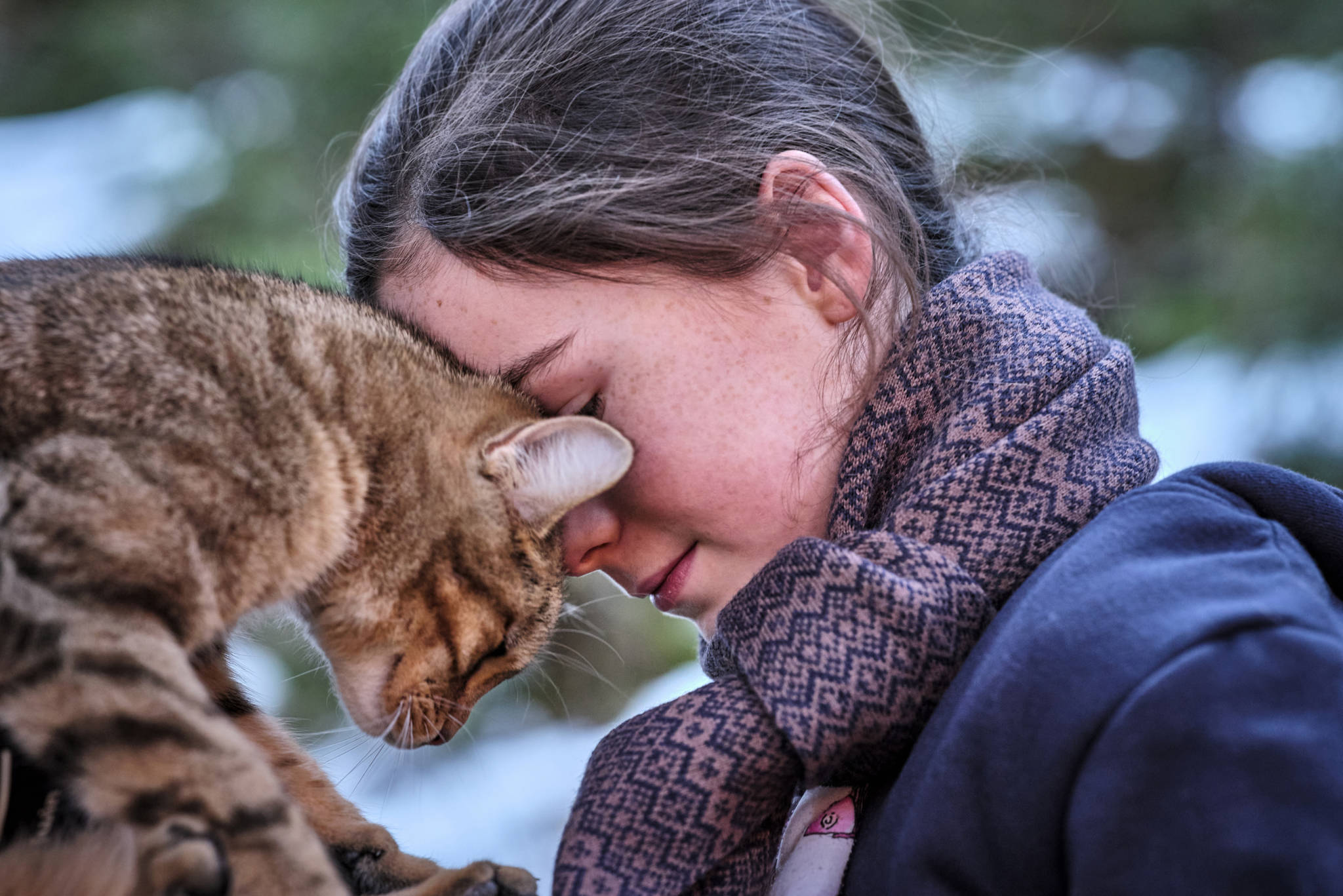 Mon chat et moi la grande aventure de Rroû Cinéma lHorloge